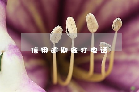 信用逾期会打电话 信用逾期会打电话