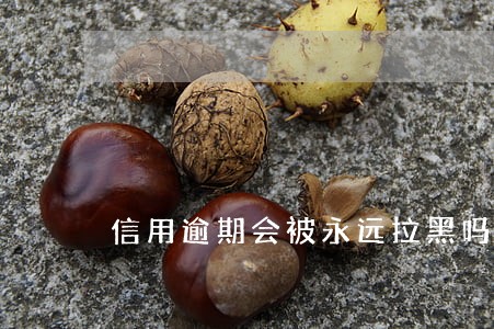 信用逾期会被永远拉黑吗