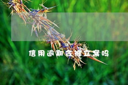 信用逾期会被立案吗 信用逾期会被立案吗