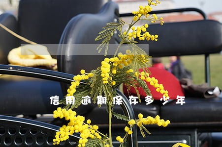 信用逾期保存多少年 信用逾期保存多少年