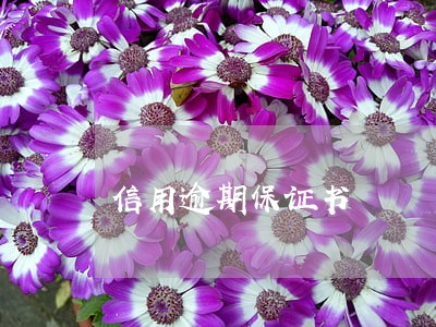 信用逾期保证书 信用逾期保证书