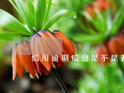 信用逾期信息是不是五年更新 信用逾期信息是不是五年更新
