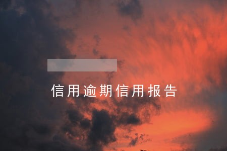 信用逾期信用报告
