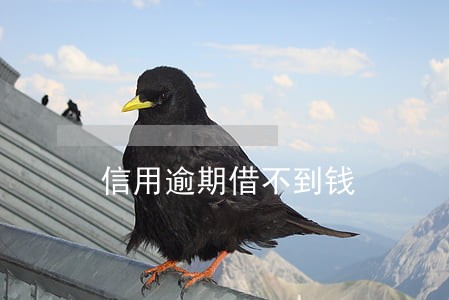 信用逾期借不到钱 信用逾期借不到钱