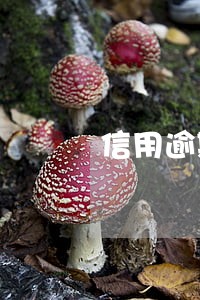 信用逾期借款软件 信用逾期借款软件