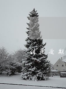 信用逾期停卡能解冻吗