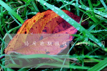 信用逾期催收会打到公司去嘛 信用逾期催收会打到公司去嘛