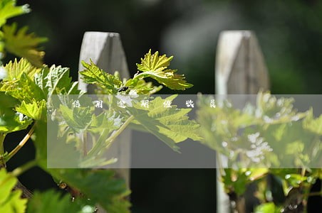 信用逾期催收员 信用逾期催收员
