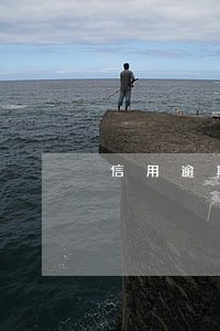信用逾期催收资产保全