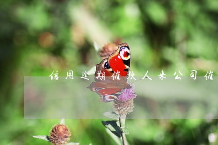 信用逾期催款人来公司催 信用逾期催款人来公司催