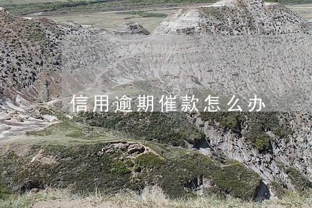 信用逾期催款怎么办 信用逾期催款怎么办