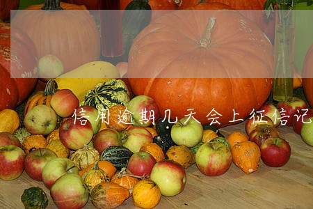信用逾期几天会上征信记录 信用逾期几天会上征信记录