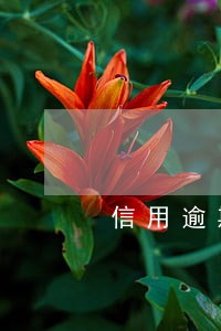 信用逾期几天信用良好 信用逾期几天信用良好