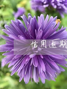 信用逾期几天打电话 信用逾期几天打电话
