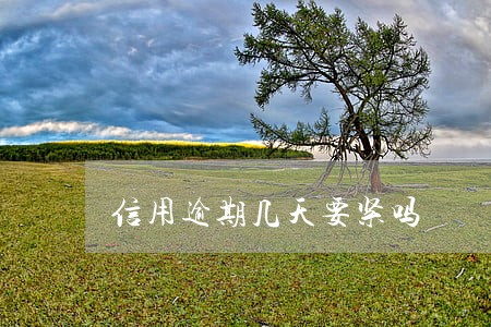 信用逾期几天要紧吗 信用逾期几天要紧吗
