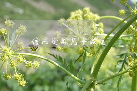 信用逾期几年恢复 信用逾期几年恢复