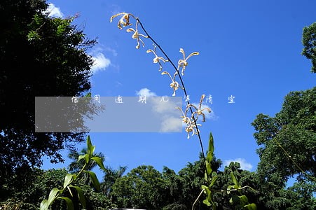 信用逾期几年清空 信用逾期几年清空