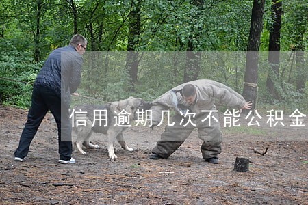 信用逾期几次不能公积金贷款买房 信用逾期几次不能公积金贷款买房