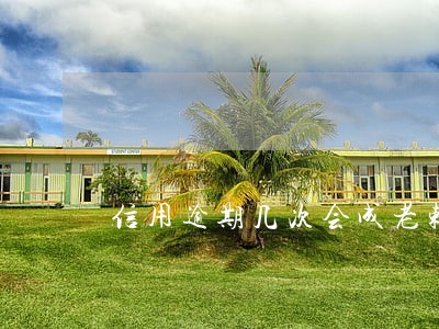 信用逾期几次会成老赖 信用逾期几次会成老赖