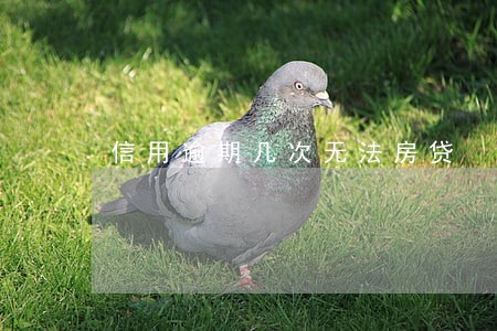 信用逾期几次无法房贷 信用逾期几次无法房贷