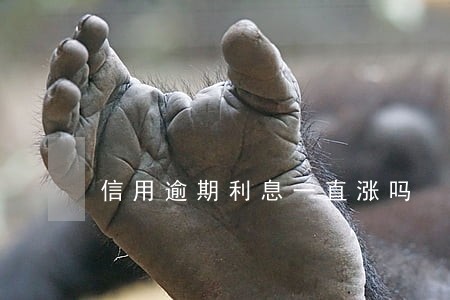 信用逾期利息一直涨吗 信用逾期利息一直涨吗