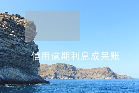 信用逾期利息成呆账 信用逾期利息成呆账