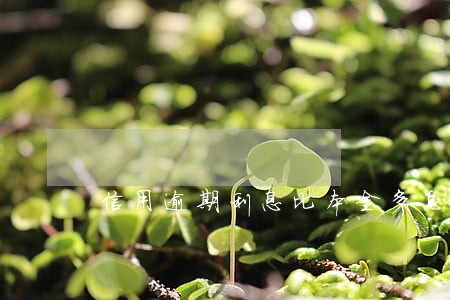 信用逾期利息比本金多怎么办 信用逾期利息比本金多怎么办