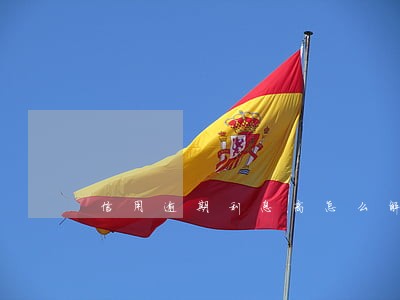 信用逾期利息高怎么解决 信用逾期利息高怎么解决