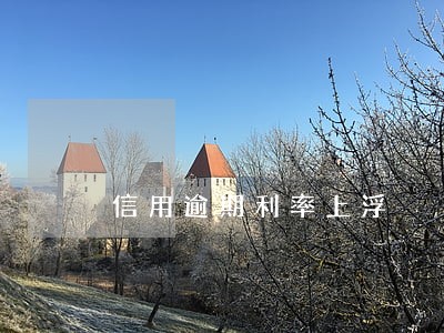 信用逾期利率上浮 信用逾期利率上浮