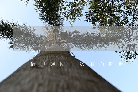 信用逾期十次能消除吗 信用逾期十次能消除吗