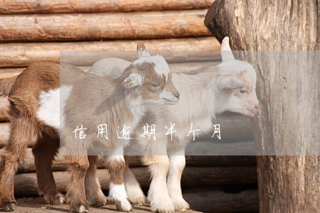 信用逾期半个月 信用逾期半个月