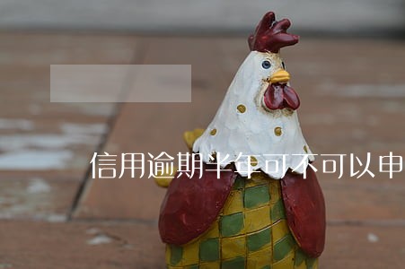 信用逾期半年可不可以申请分期 信用逾期半年可不可以申请分期