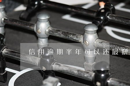 信用逾期半年可以还最低额度吗 信用逾期半年可以还最低额度吗