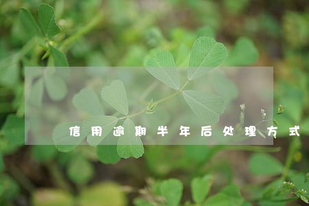 信用逾期半年后处理方式 信用逾期半年后处理方式