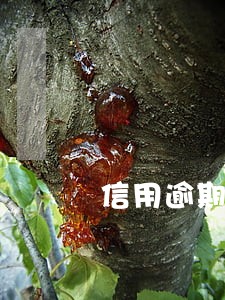 信用逾期半年已经还了五千