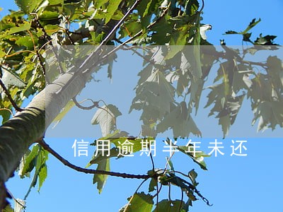 信用逾期半年未还