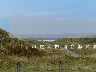 信用逾期协商会怎么样 信用逾期协商会怎么样