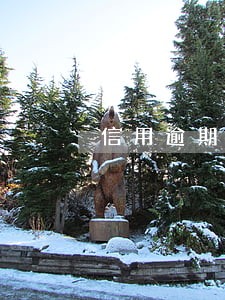 信用逾期单不具备偿还能力 信用逾期单不具备偿还能力