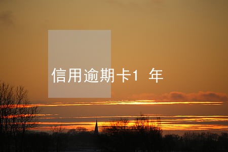 信用逾期卡1年