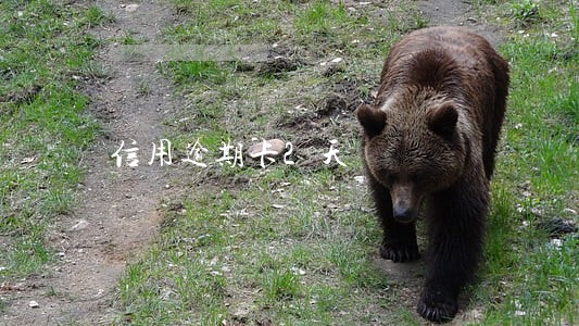 信用逾期卡2天 信用逾期卡2天