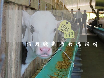 信用逾期卡会冻结吗 信用逾期卡会冻结吗