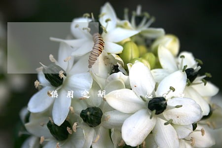 信用逾期卡免息攻略 信用逾期卡免息攻略