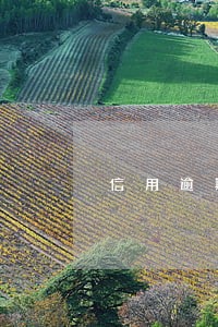 信用逾期卡减免怎么填写 信用逾期卡减免怎么填写