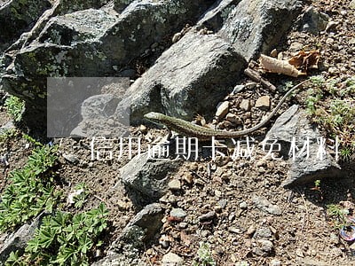 信用逾期卡减免材料 信用逾期卡减免材料
