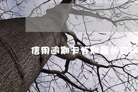 信用逾期卡分期最长可以多少期 信用逾期卡分期最长可以多少期