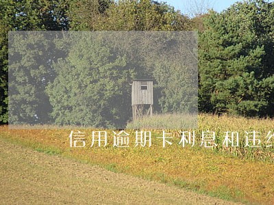 信用逾期卡利息和违约金多少 信用逾期卡利息和违约金多少