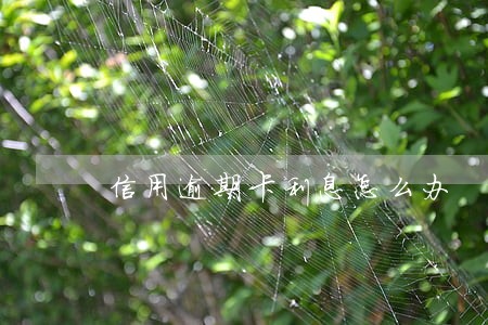 信用逾期卡利息怎么办 信用逾期卡利息怎么办