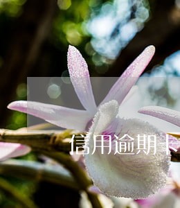 信用逾期卡如何打折处理 信用逾期卡如何打折处理