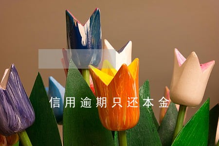 信用逾期只还本金 信用逾期只还本金