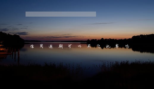 信用逾期可以买飞机票吗